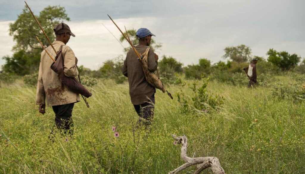 Hunter-gatherers walk through the Kalahari Bush in Namibia