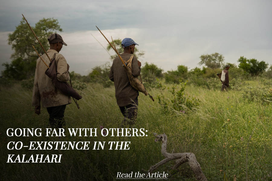 Hunter-gatherers in the Kalahari Bush