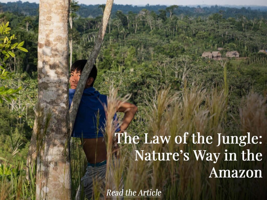 An indigenous boy overlooks his village in the Amazon rainforest